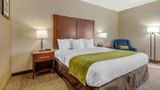 Comfort Inn Room
