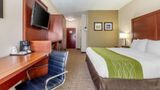 Comfort Inn Room