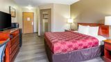 Econo Lodge Inn and Suites Dickson Room