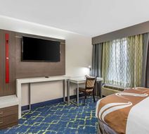 Quality Inn Room