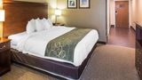 Comfort Suites Room