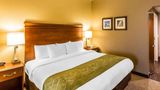 Comfort Suites Suite