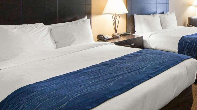 Comfort Inn Room