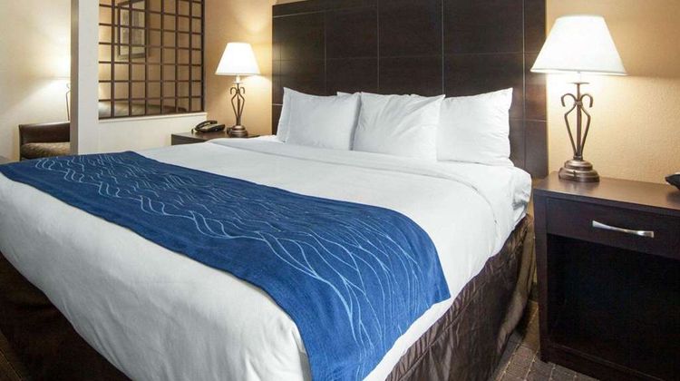 Comfort Inn Suite