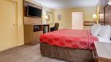 Econo Lodge Lenoir City Room