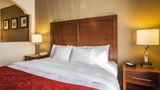 Quality Suites Hotel Morristown Suite