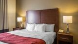 Quality Suites Hotel Morristown Suite