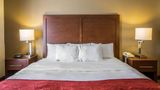 Quality Suites Hotel Morristown Suite