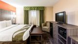 <b>Comfort Inn & Sts Nashville Dwtn Stadium Room</b>. Images powered by <a href="https://iceportal.shijigroup.com/" title="IcePortal" target="_blank">IcePortal</a>.