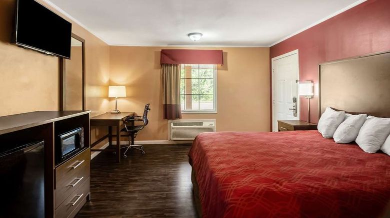 <b>Econo Lodge Cornersville Room</b>. Images powered by <a href="https://iceportal.shijigroup.com/" title="IcePortal" target="_blank">IcePortal</a>.