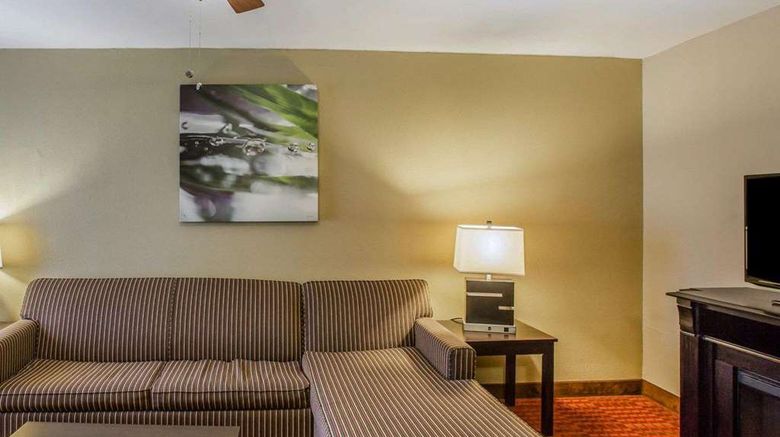 <b>Quality Suites Nashville Airport Suite</b>. Images powered by <a href="https://iceportal.shijigroup.com/" title="IcePortal" target="_blank">IcePortal</a>.