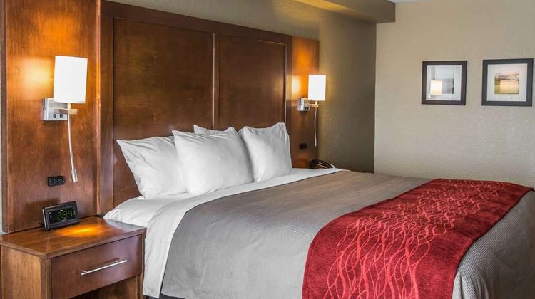 Comfort Inn & Suites Knoxville West Room