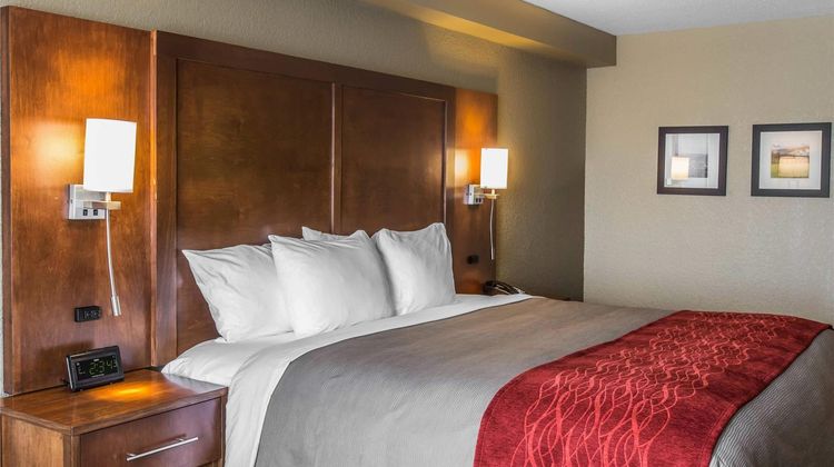 Comfort Inn & Suites Knoxville West Room