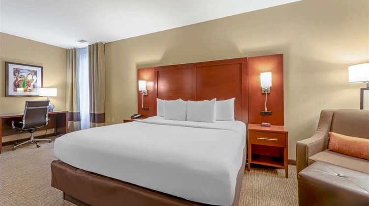 Comfort Inn Downtown Suite