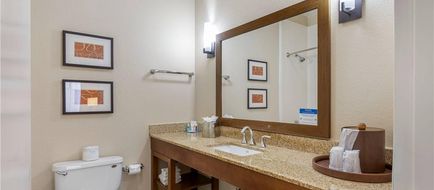 Comfort Inn Memphis Downtown Room