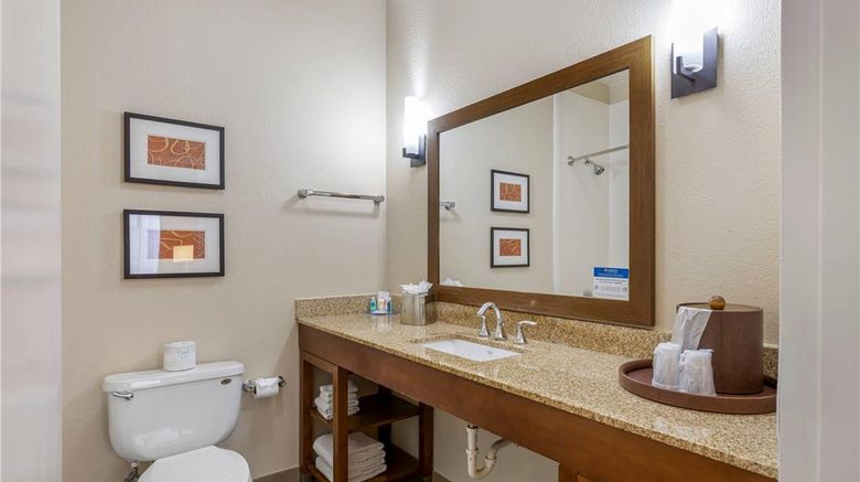 <b>Comfort Inn Memphis Downtown Room</b>. Images powered by <a href="https://iceportal.shijigroup.com/" title="IcePortal" target="_blank">IcePortal</a>.