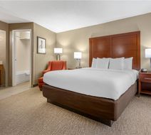 Comfort Inn Downtown Room