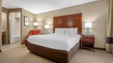 <b>Comfort Inn Memphis Downtown Room</b>. Images powered by <a href="https://iceportal.shijigroup.com/" title="IcePortal" target="_blank">IcePortal</a>.