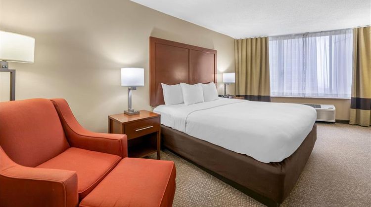 Comfort Inn Downtown Room