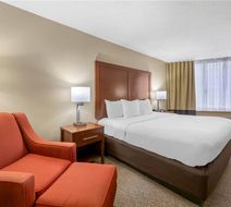 Comfort Inn Memphis Downtown Room