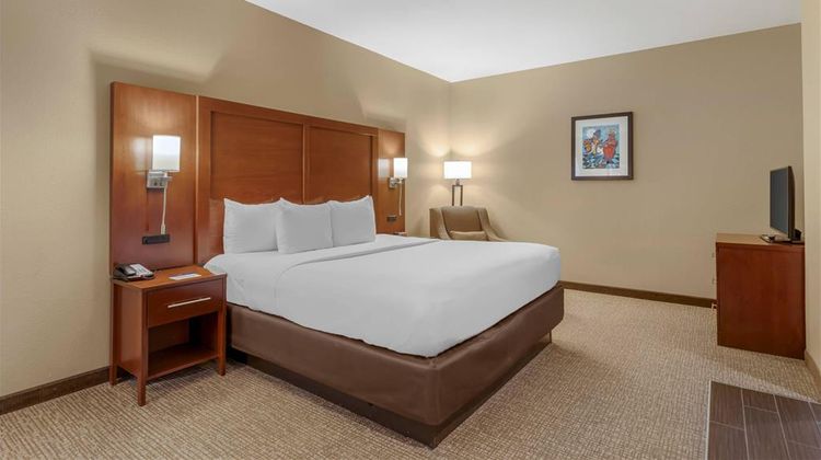 Comfort Inn Downtown Suite