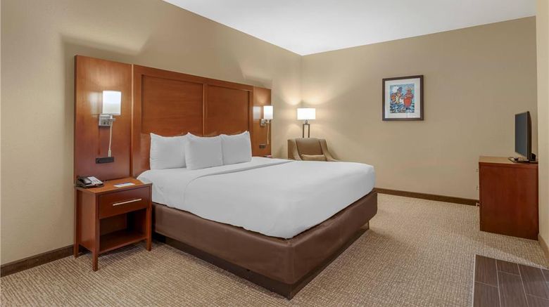 <b>Comfort Inn Memphis Downtown Suite</b>. Images powered by <a href="https://iceportal.shijigroup.com/" title="IcePortal" target="_blank">IcePortal</a>.