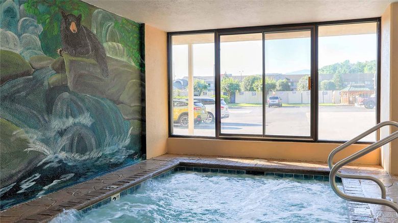 <b>Comfort Inn & Suites at Dollywood Lane Pool</b>. Images powered by <a href="https://iceportal.shijigroup.com/" title="IcePortal" target="_blank">IcePortal</a>.