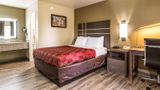 <b>Econo Lodge Room</b>. Images powered by <a href="https://iceportal.shijigroup.com/" title="IcePortal" target="_blank">IcePortal</a>.