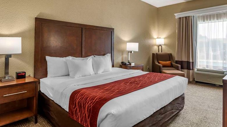 <b>Comfort Inn Kingsport Southeast Room</b>. Images powered by <a href="https://iceportal.shijigroup.com/" title="IcePortal" target="_blank">IcePortal</a>.