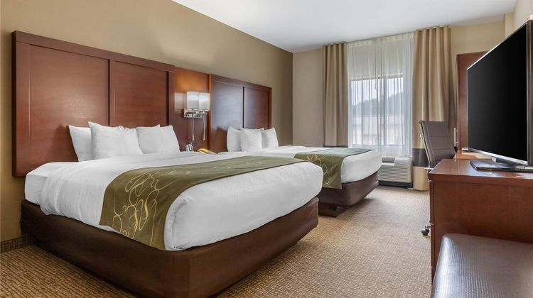 Comfort Suites Suite