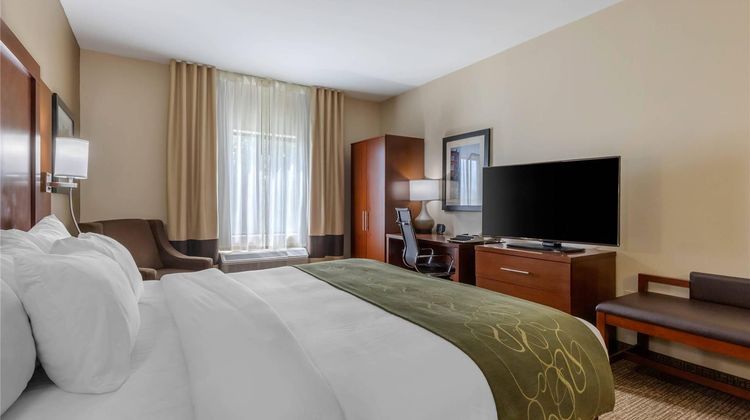 Comfort Suites Suite