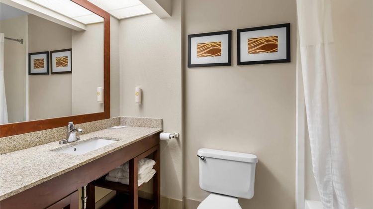 Comfort Suites Goodlettsville Rivergate Room