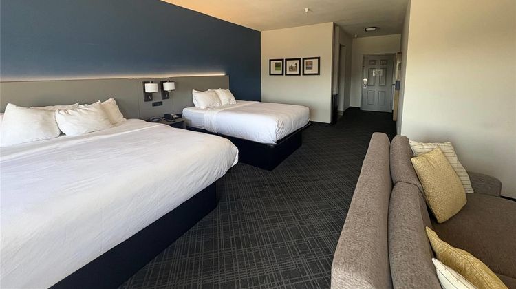 Comfort Suites Suite