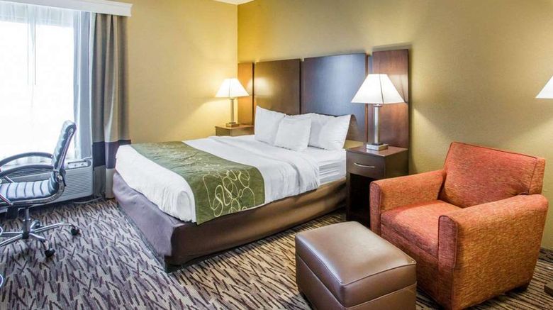 <b>Comfort Suites Lebanon Room</b>. Images powered by <a href="https://iceportal.shijigroup.com/" title="IcePortal" target="_blank">IcePortal</a>.