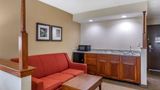 Comfort Inn Suite