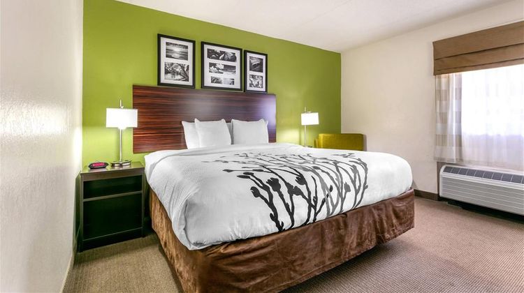 Sleep Inn & Suites Gatlinburg, TN Room