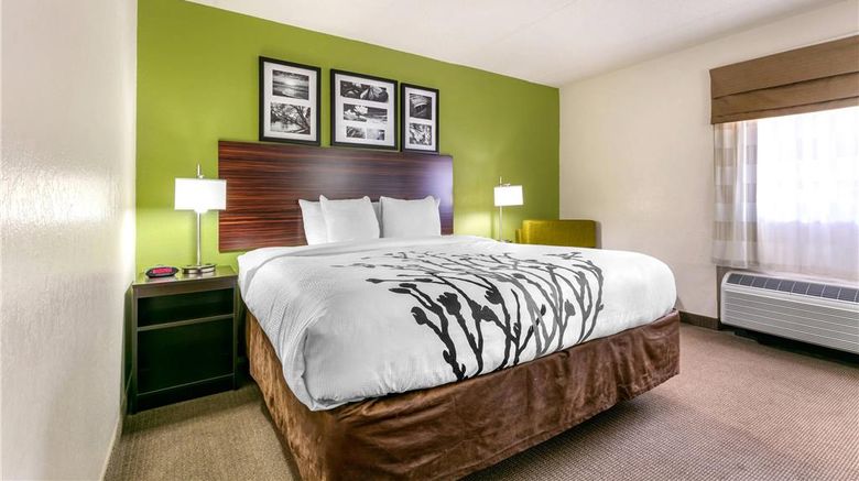 <b>Sleep Inn & Suites Gatlinburg, TN Room</b>. Images powered by <a href="https://iceportal.shijigroup.com/" title="IcePortal" target="_blank">IcePortal</a>.