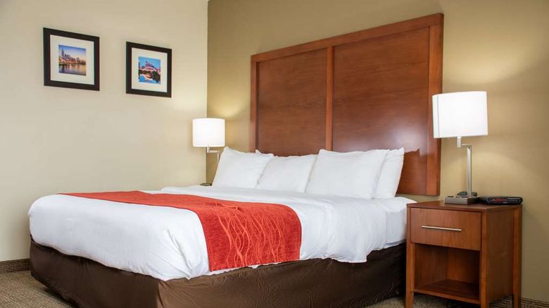 <b>Comfort Inn Dickson Room</b>. Images powered by <a href="https://iceportal.shijigroup.com/" title="IcePortal" target="_blank">IcePortal</a>.