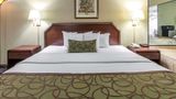 Quality Inn Downtown Johnson City Room