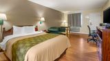 Econo Lodge Inn & Suites Southeast Room