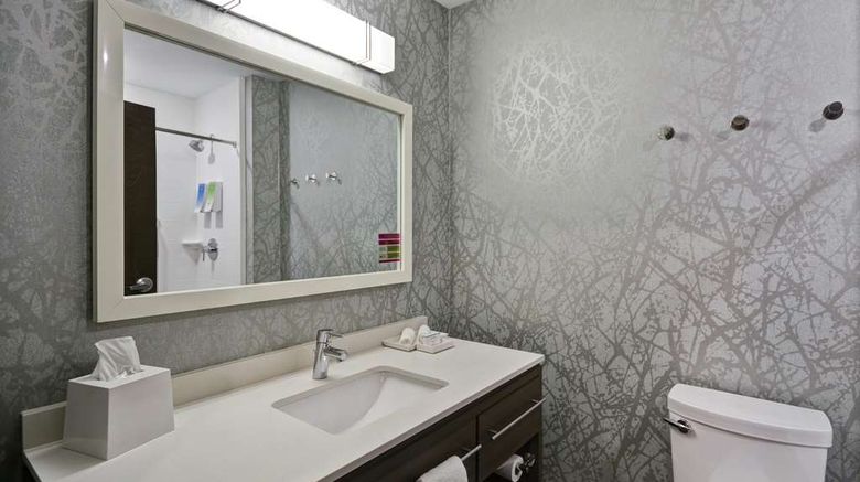 <b>Home2 Suites by Grand Rapids North Room</b>. Images powered by <a href="https://iceportal.shijigroup.com/" title="IcePortal" target="_blank">IcePortal</a>.