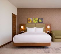 Hilton Garden Inn Orenburg Room