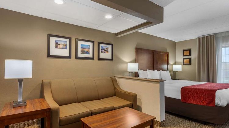 Comfort Inn & Suites Suite