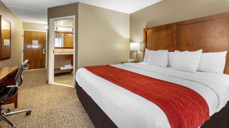 Comfort Inn & Suites Room