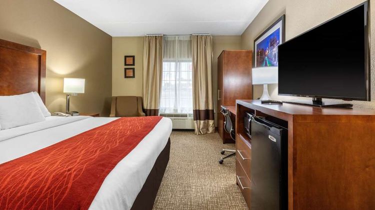 Comfort Inn & Suites Room