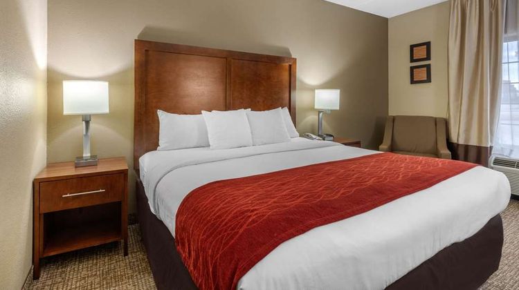 Comfort Inn & Suites Room