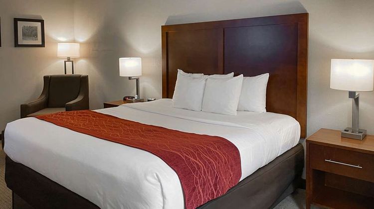 Comfort Inn & Suites Room