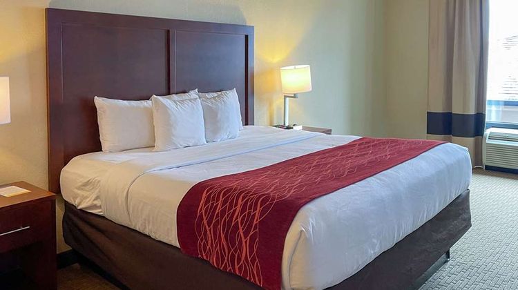 Comfort Inn & Suites Suite