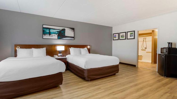 Comfort Suites Suite