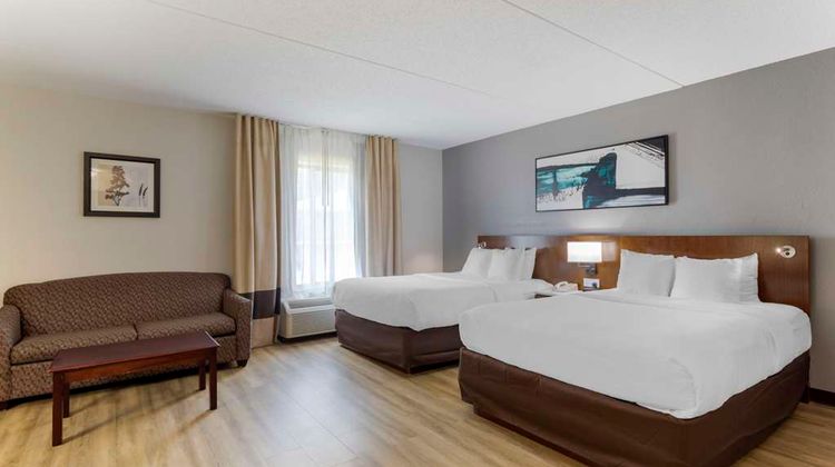 Comfort Suites Suite